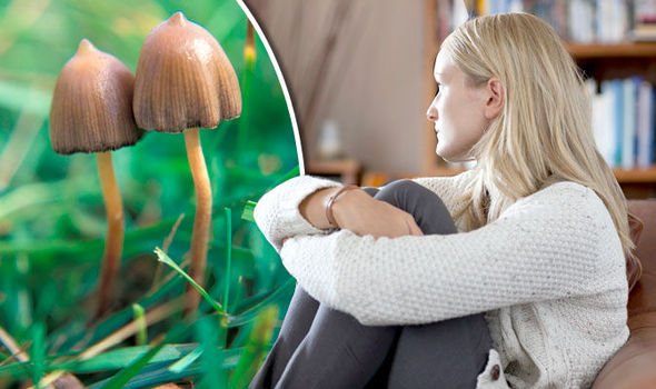 Magic Mushrooms Answer to Depression