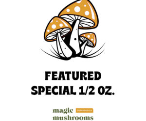 Featured Special ‘Half Oz’ Magic Mushrooms (14 grams)