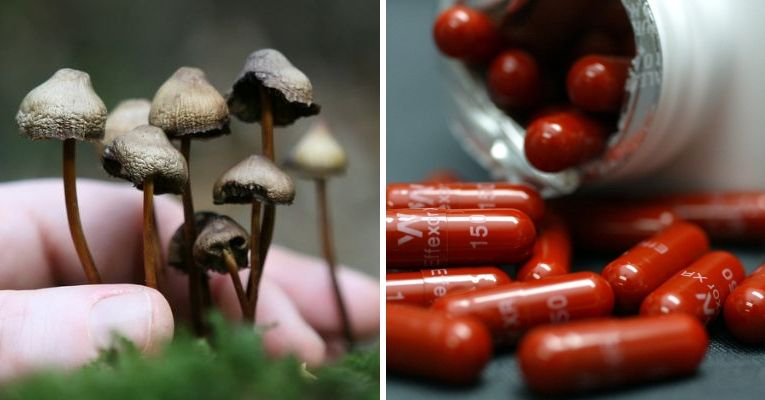 magic mushrooms antidepressants