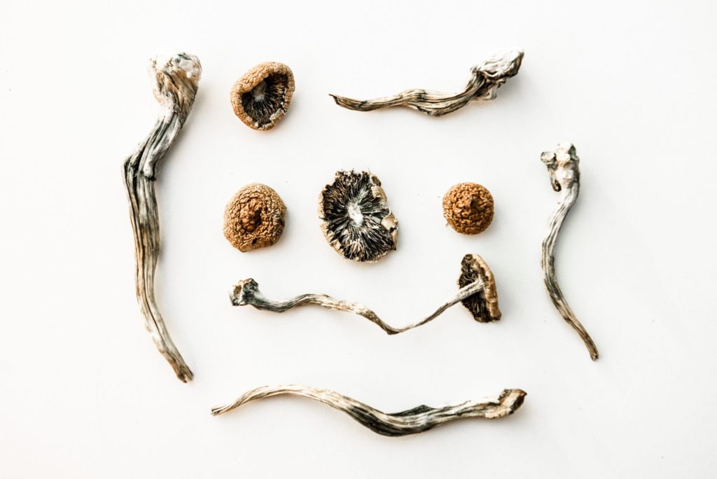 5 Reasons to Buy Magic Mushroom Online in Canada