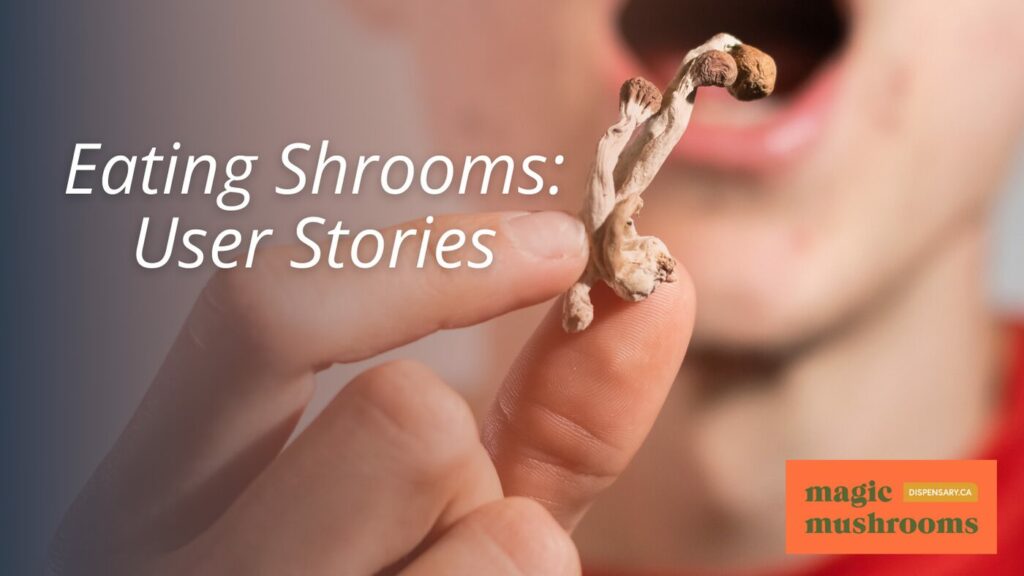 Eating Shrooms User Stories