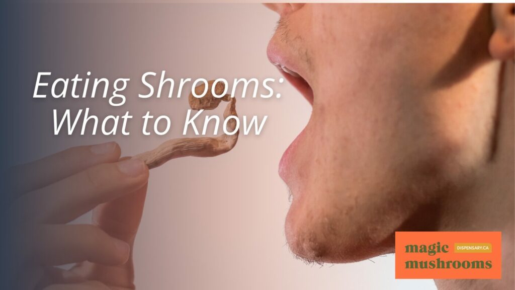 Eating Shrooms What to Know