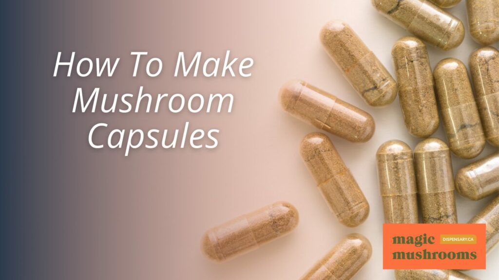 How To Make Mushroom Capsules