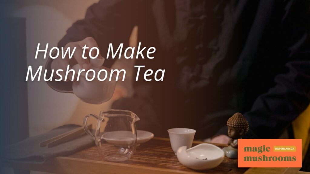 How to Make Mushroom Tea