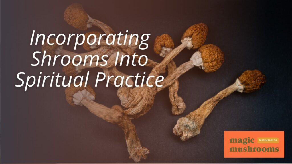 Incorporating Shrooms Into Spiritual Practice