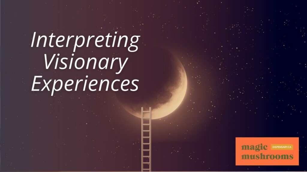 Interpreting Visionary Experiences
