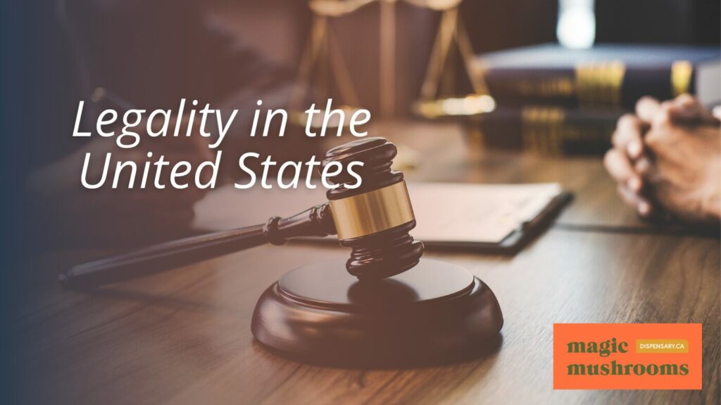Legality in the United States