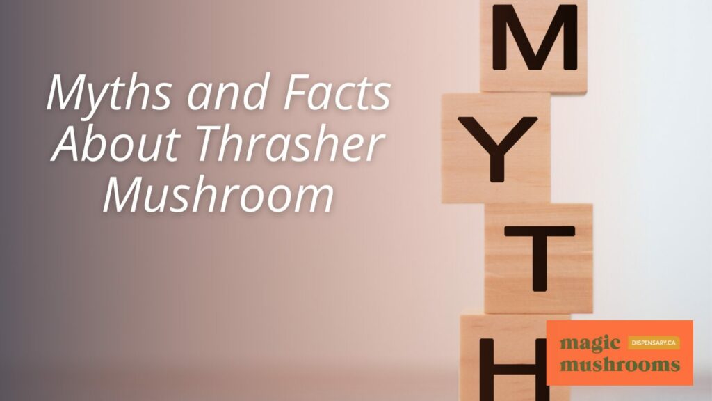 Myths and Facts About Thrasher Mushroom