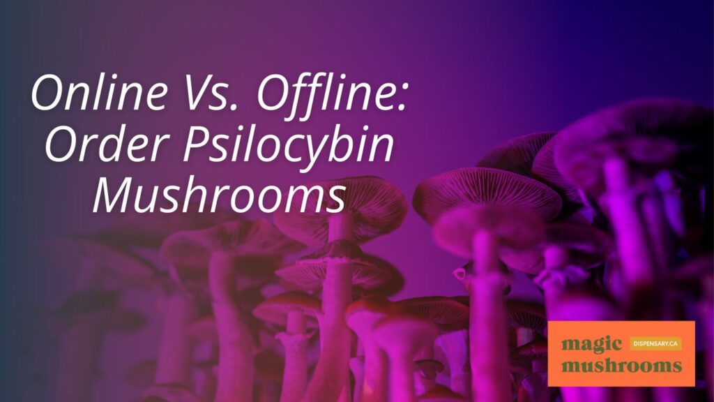 Online Vs. Offline Order Psilocybin Mushrooms
