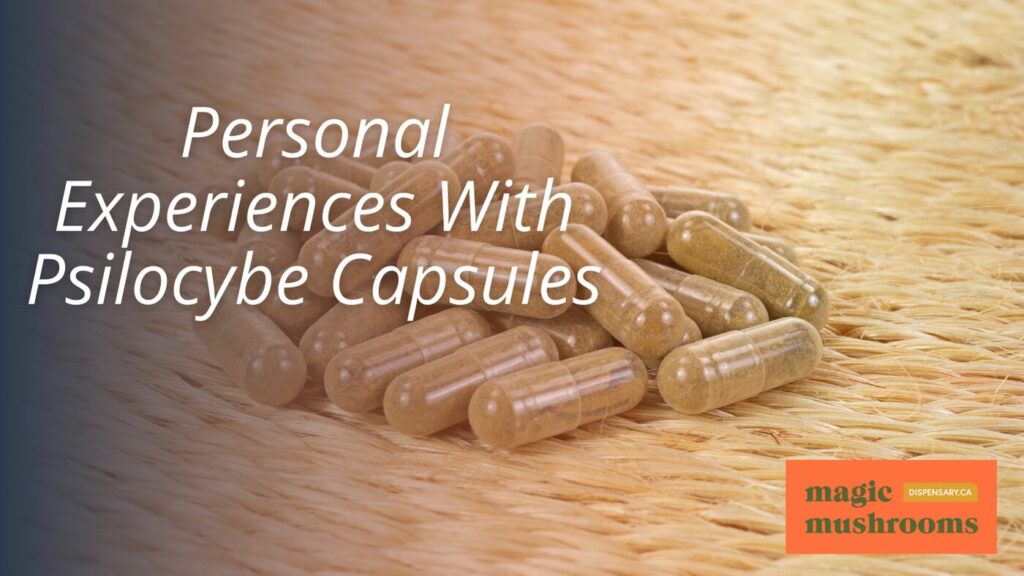 Personal Experiences With Psilocybe Capsules