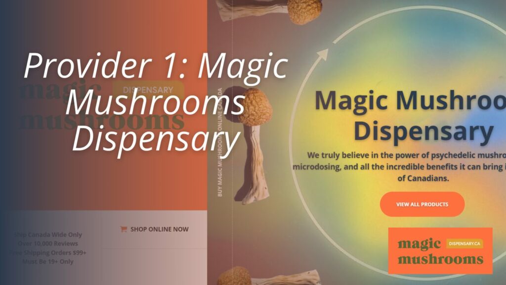 Provider 1 Magic Mushrooms Dispensary