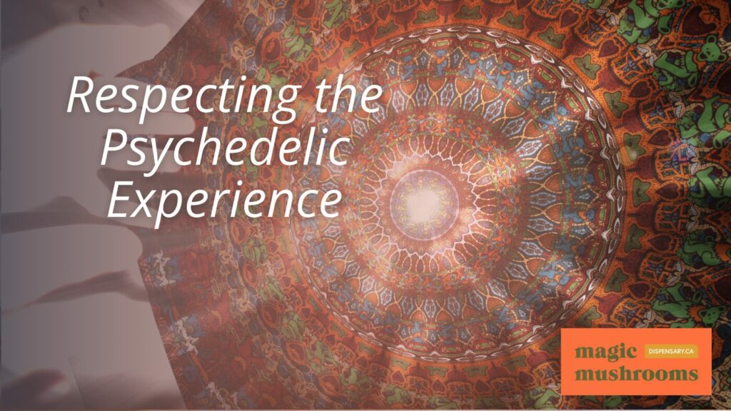 Respecting the Psychedelic Experience (1)