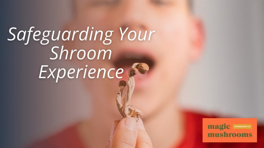Safeguarding Your Shroom Experience
