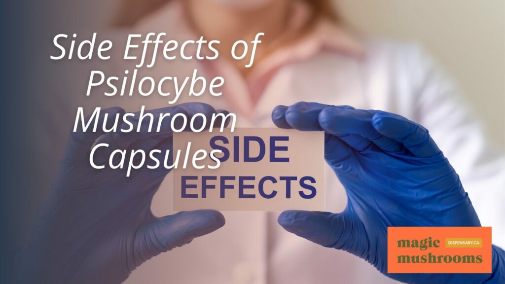 Side Effects of Psilocybe Mushroom Capsules
