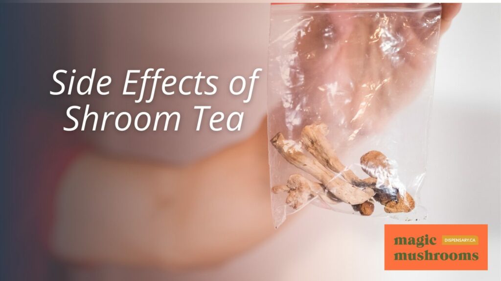 Side Effects of Shroom Tea