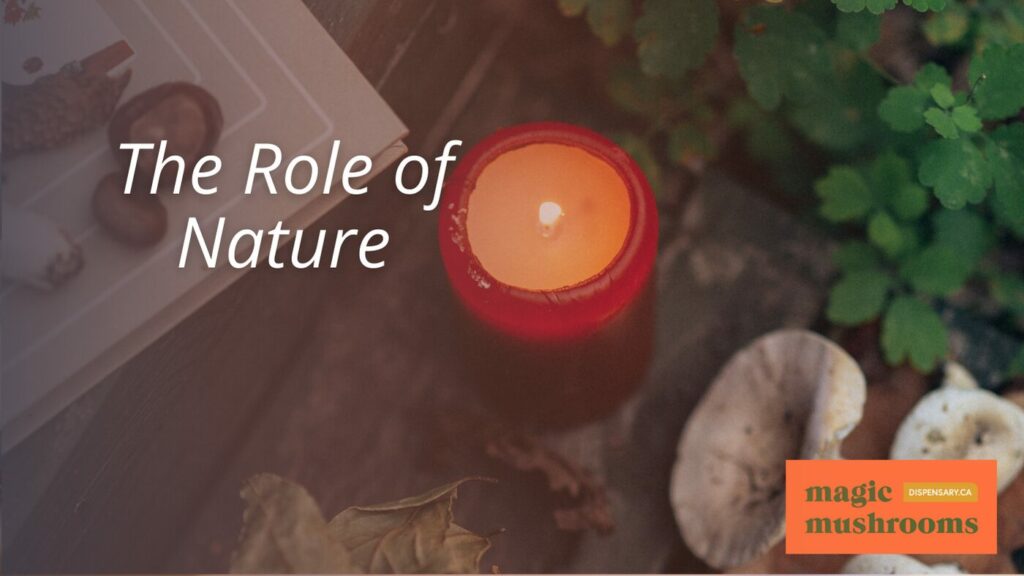 The Role of Nature