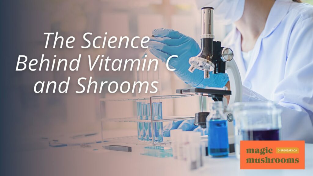 The Science Behind Vitamin C and Shrooms