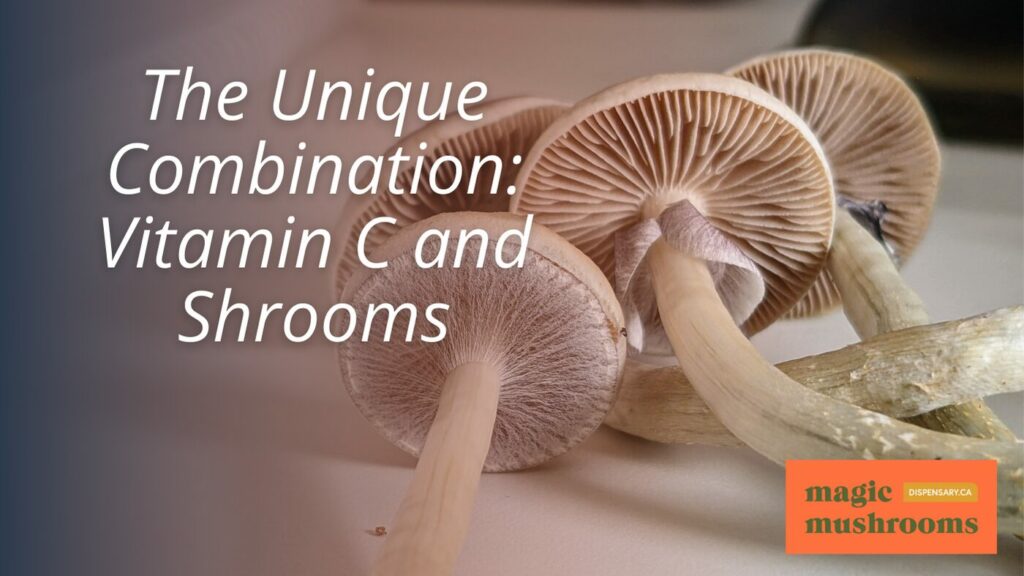 The Unique Combination Vitamin C and Shrooms