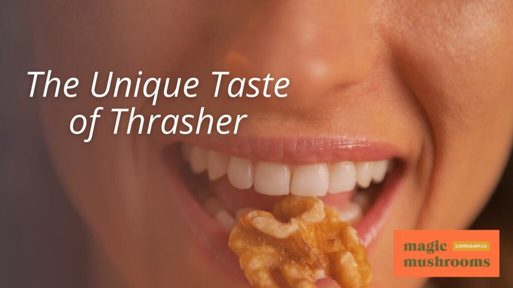 The Unique Taste of Thrasher