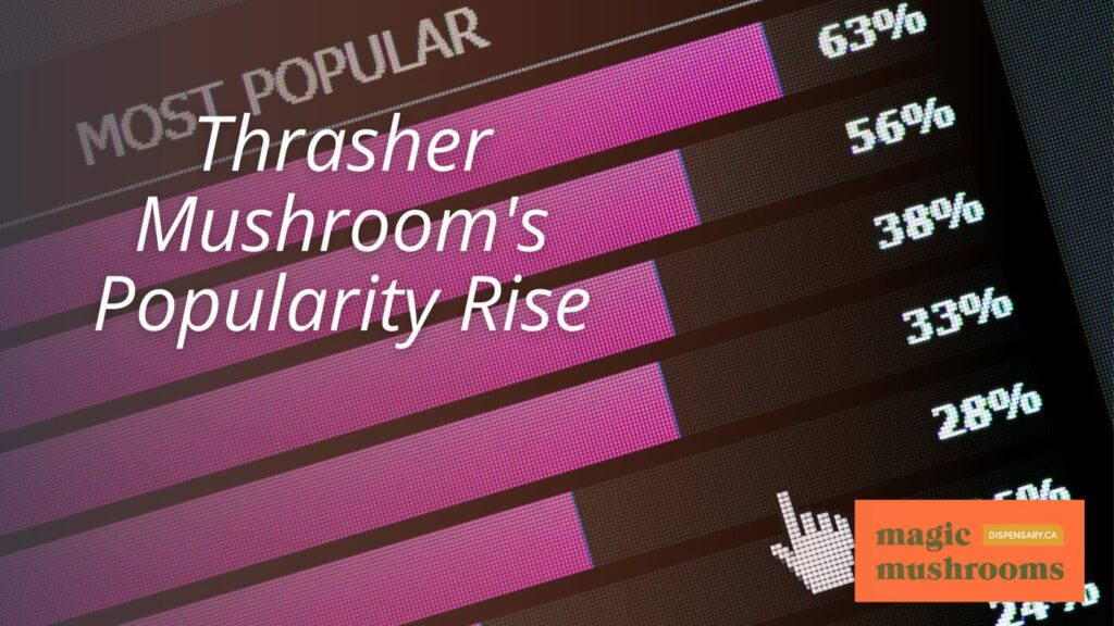Thrasher Mushroom's Popularity Rise