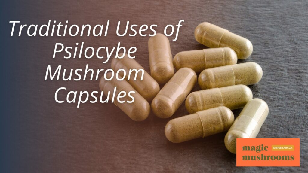 Traditional Uses of Psilocybe Mushroom Capsules