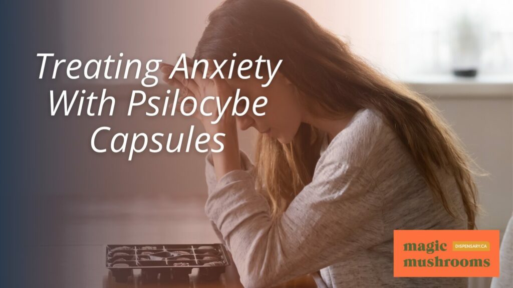 Treating Anxiety With Psilocybe Capsules