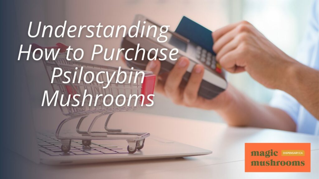 Understanding How to Purchase Psilocybin Mushrooms