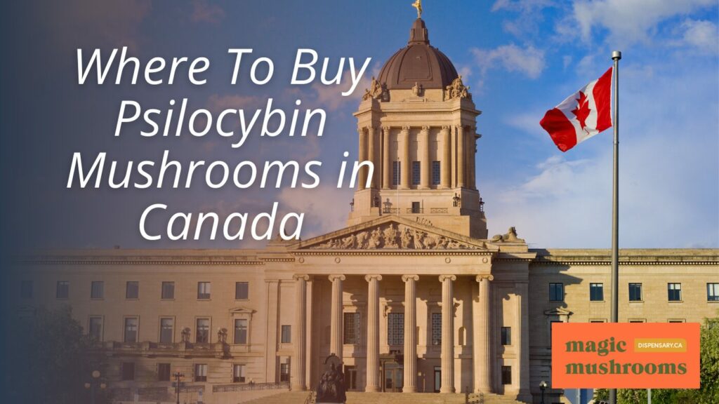 Where To Buy Psilocybin Mushrooms in Canada