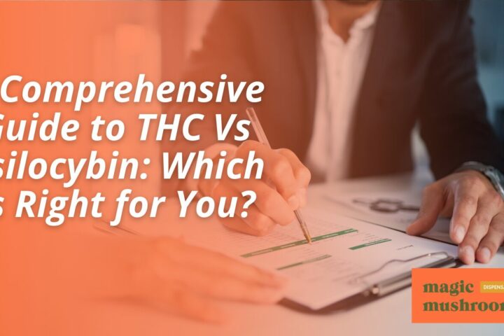 A Comprehensive Guide to THC Vs Psilocybin Which Is Right for You
