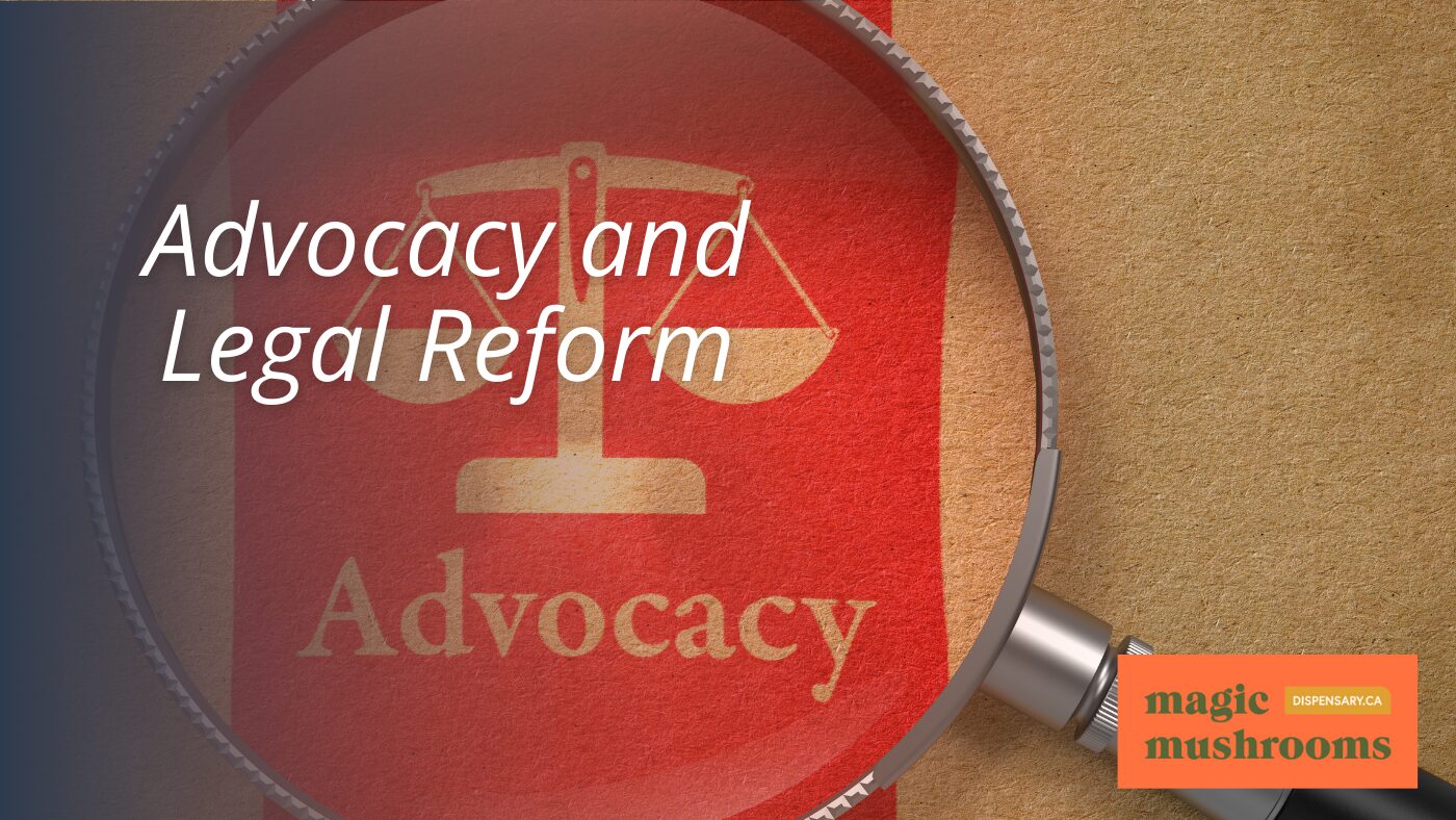 Advocacy and Legal Reform