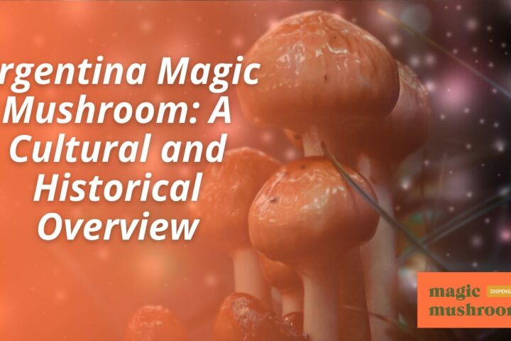 Argentina Magic Mushroom A Cultural and Historical Overview