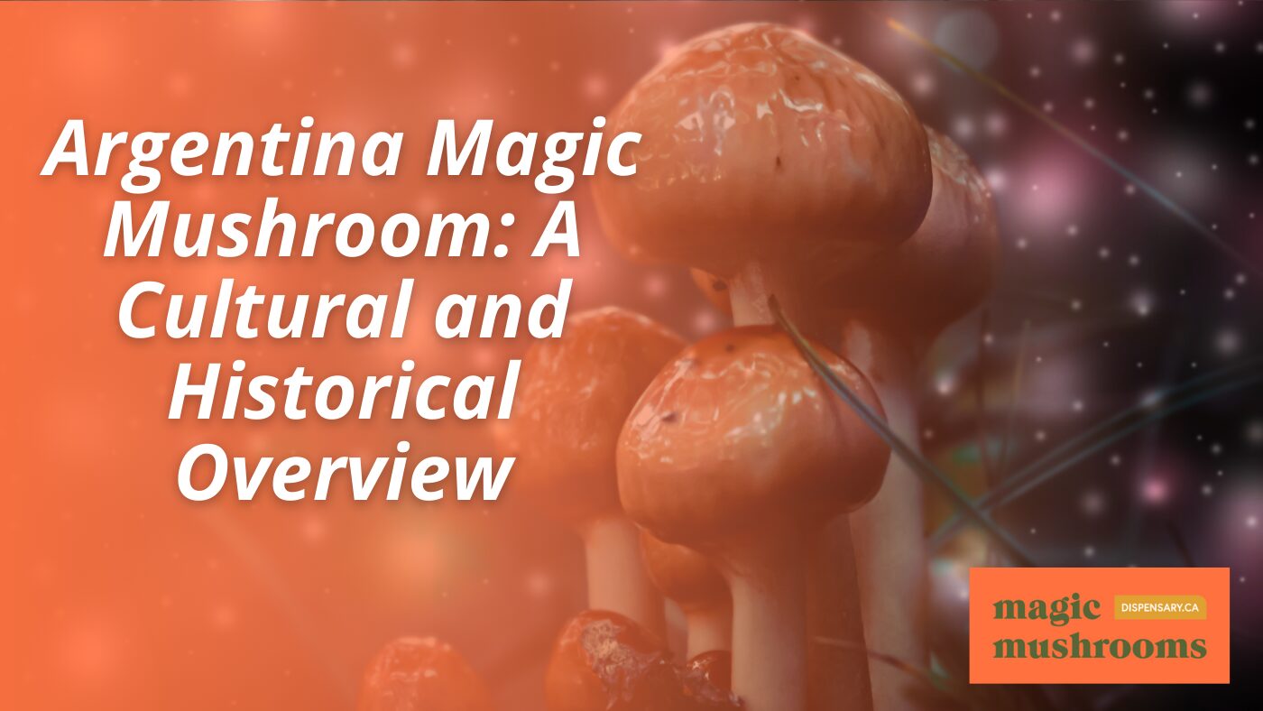 Argentina Magic Mushroom A Cultural and Historical Overview