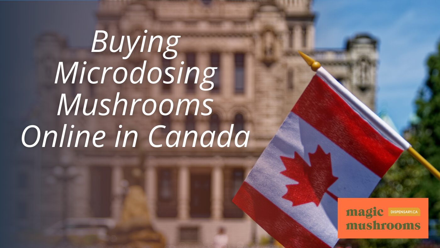 Buying Microdosing Mushrooms Online in Canada