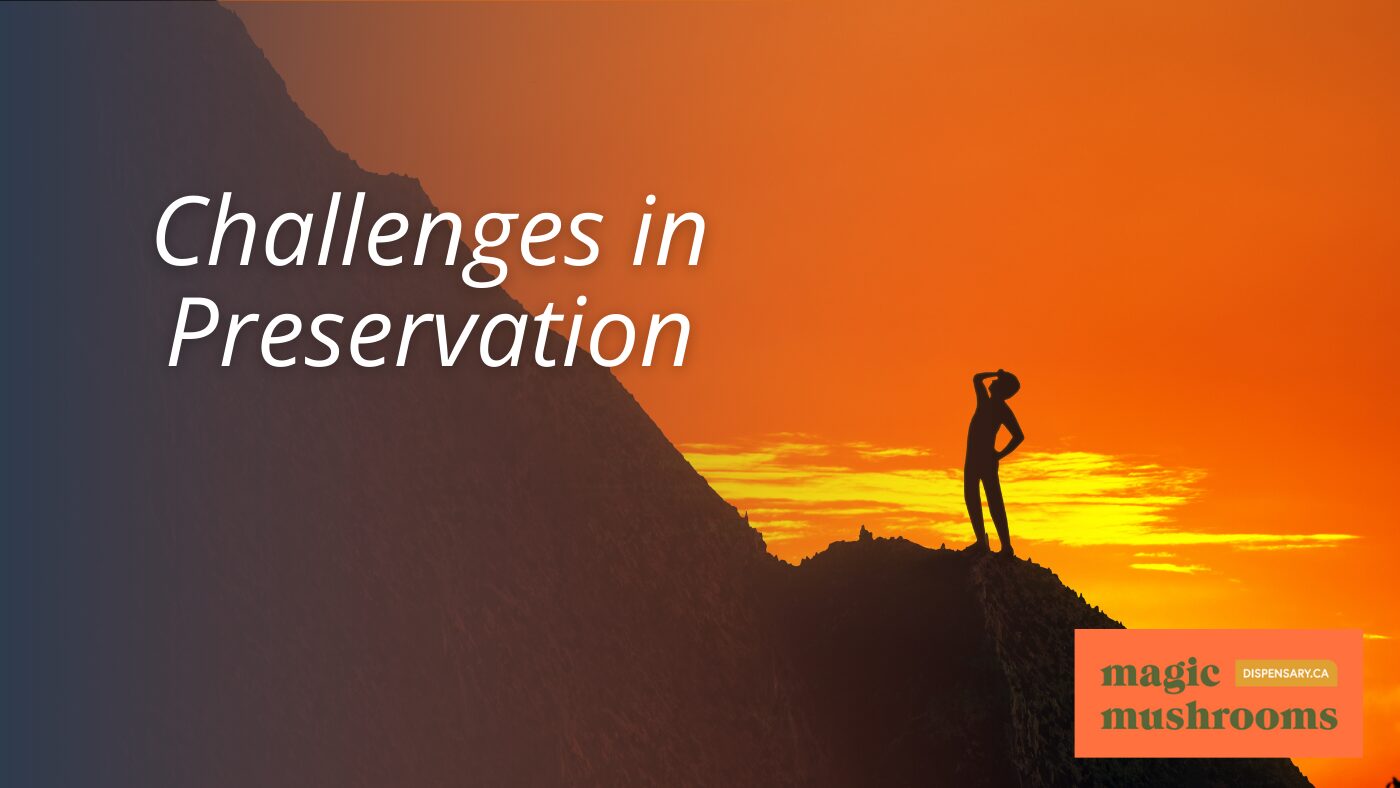 Challenges in Preservation