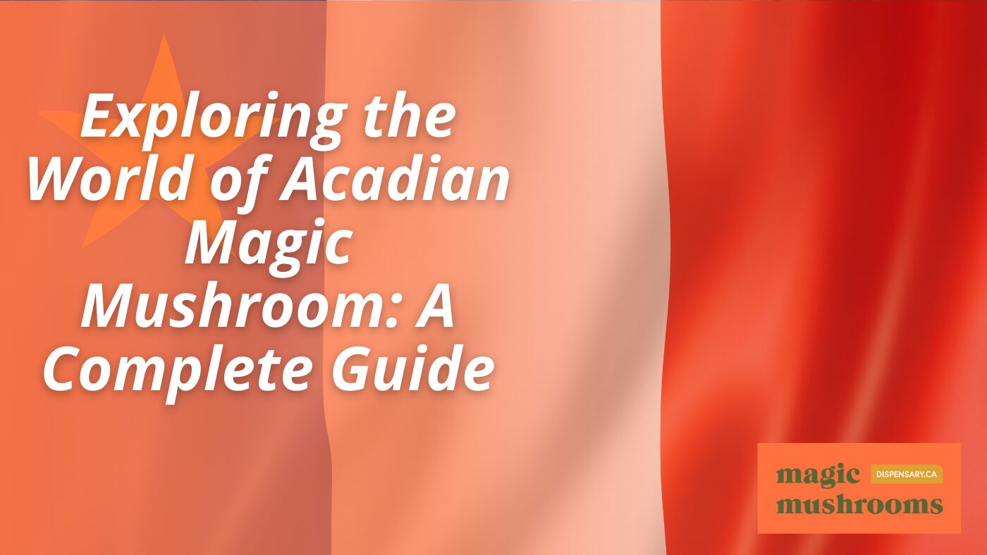 Exploring the World of Acadian Magic Mushroom A Complete Guide