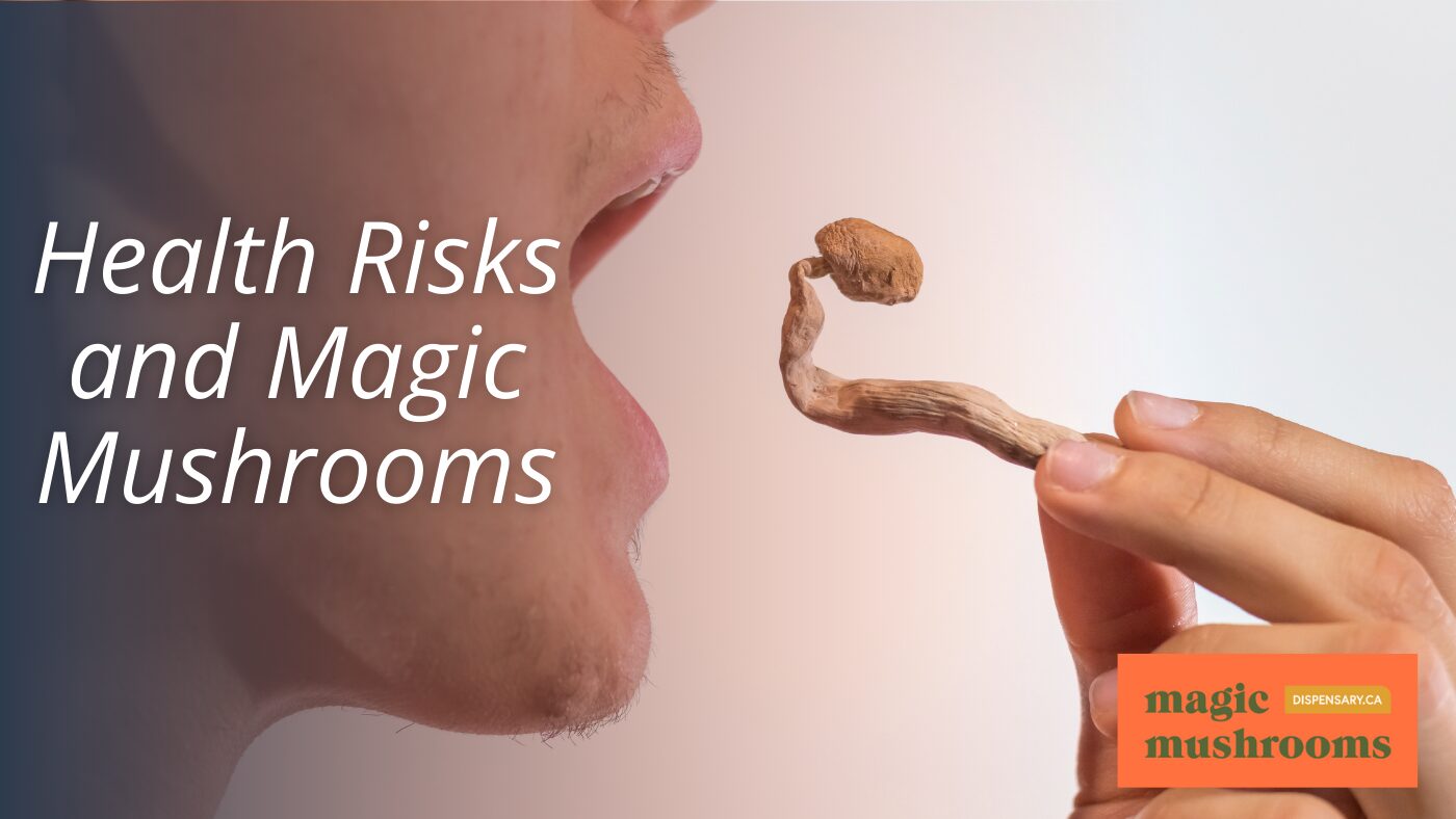 Health Risks and Magic Mushrooms