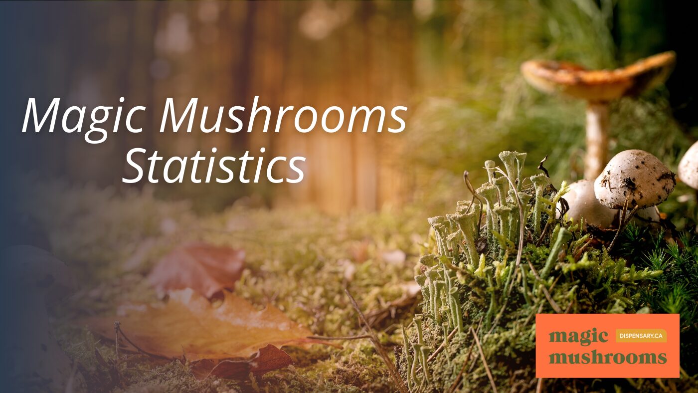 Magic Mushrooms Statistics