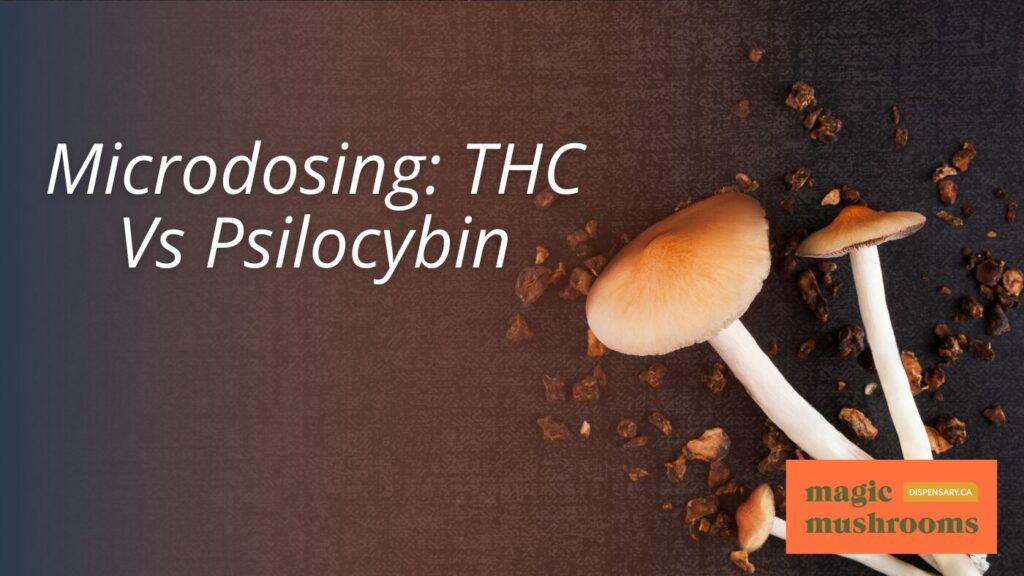 Microdosing THC Vs Psilocybin