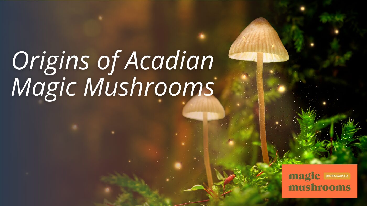 Origins of Acadian Magic Mushrooms