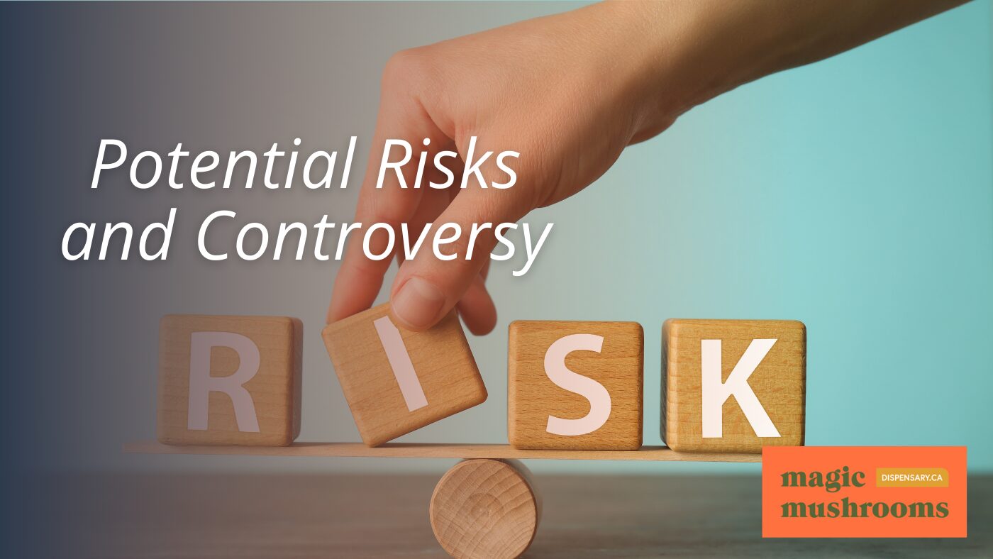 Potential Risks and Controversy