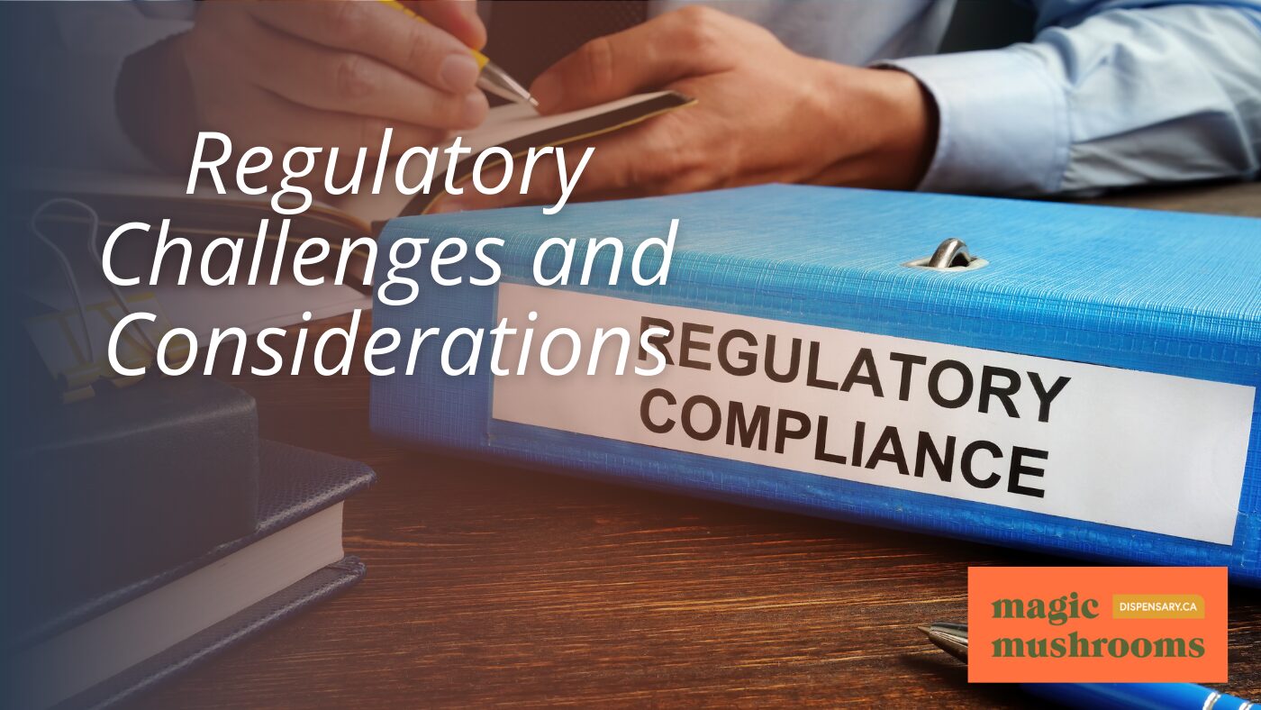Regulatory Challenges and Considerations