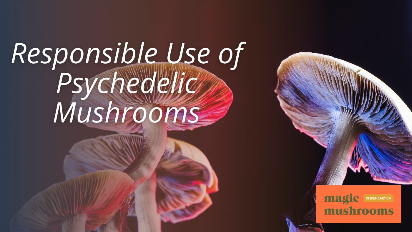 Responsible Use of Psychedelic Mushrooms