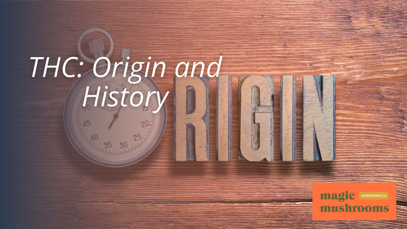 THC Origin and History