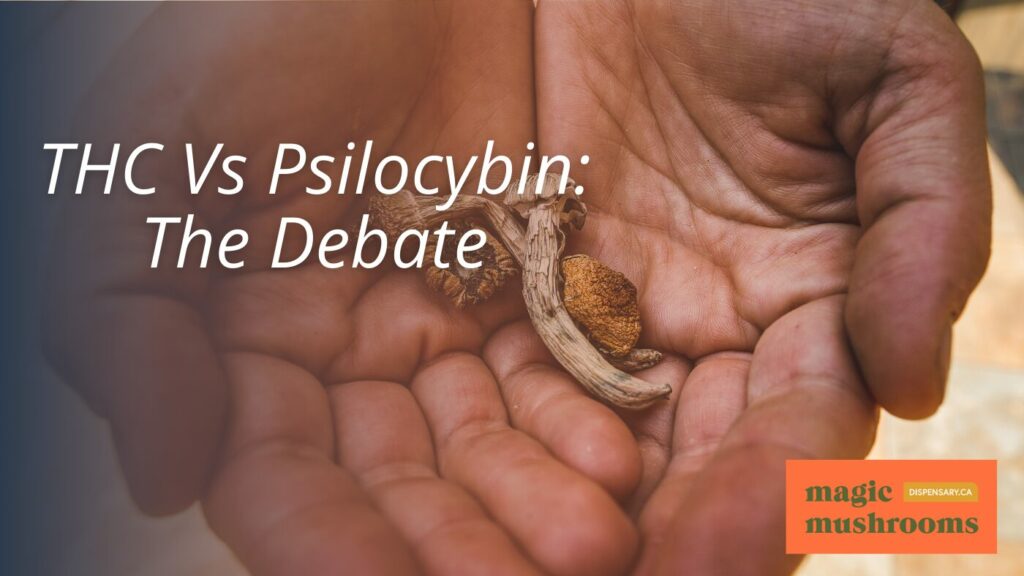 THC Vs Psilocybin The Debate