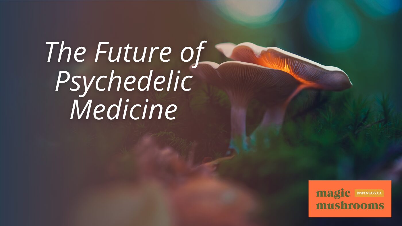 The Future of Psychedelic Medicine