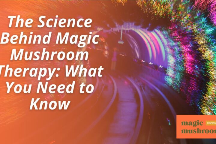 The Science Behind Magic Mushroom Therapy What You Need to Know