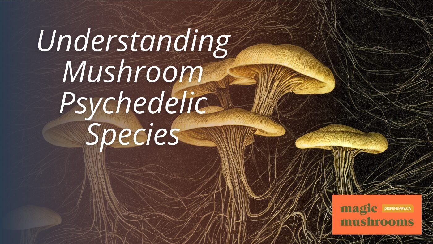 Understanding Mushroom Psychedelic Species