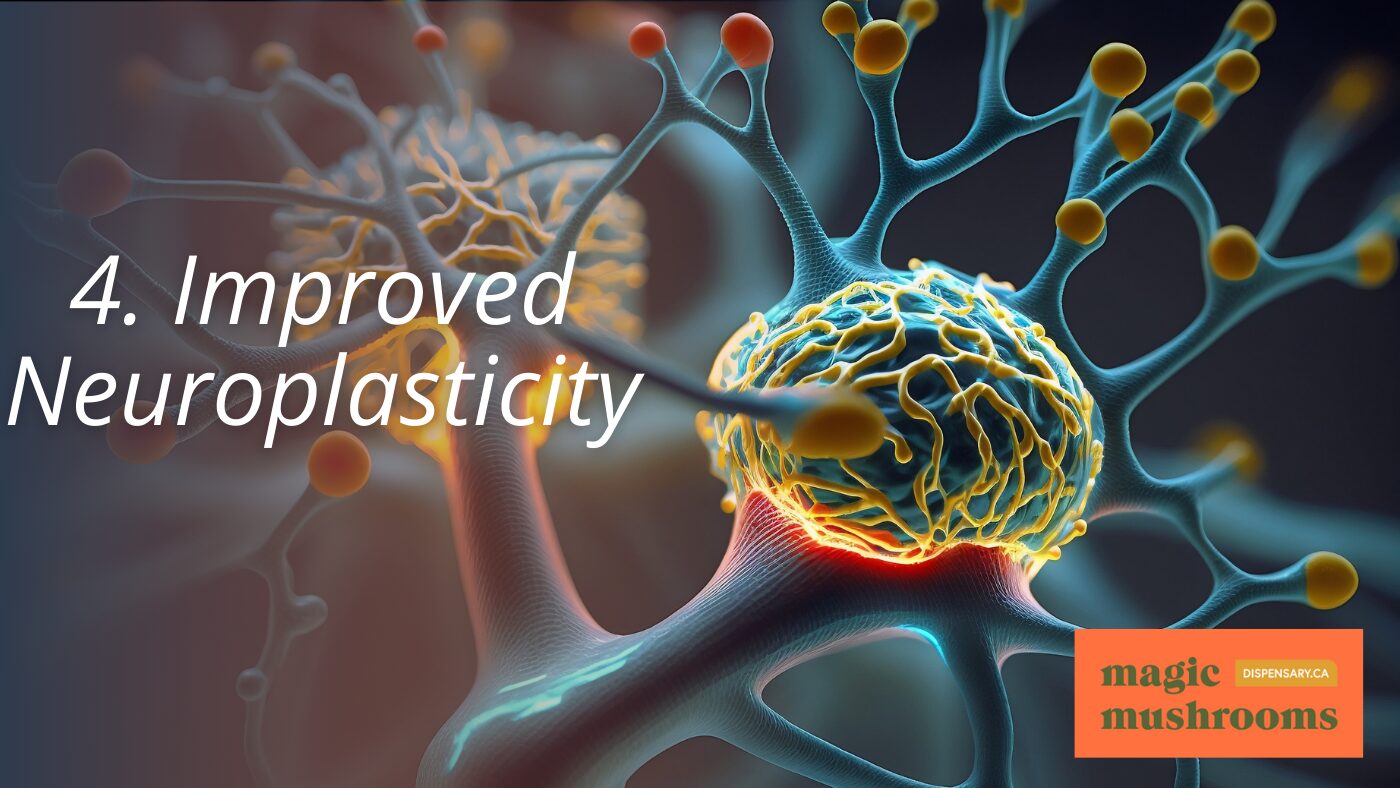 4. Improved Neuroplasticity