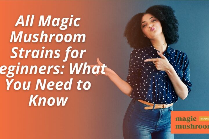 All Magic Mushroom Strains for Beginners What You Need to Know