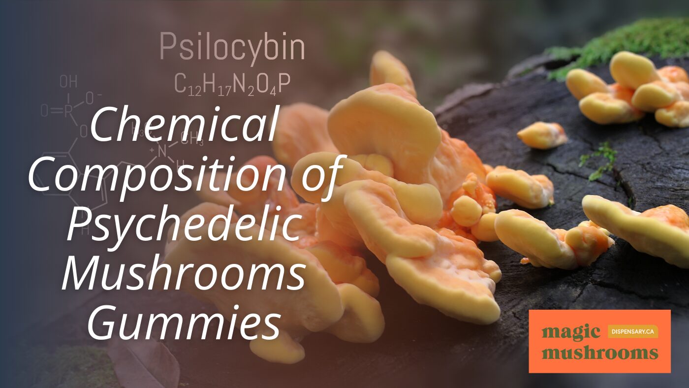 Chemical Composition of Psychedelic Mushrooms Gummies